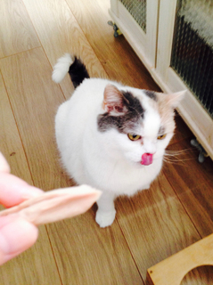 2019_0517_お誕生日おめでとう12.jpg