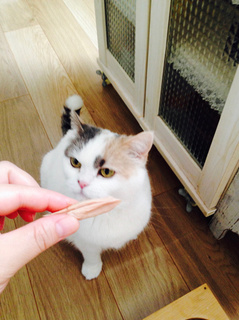 2019_0517_お誕生日おめでとう3.jpg