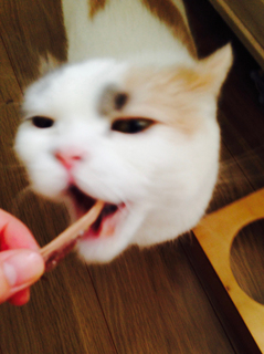 2019_0517_お誕生日おめでとう4.jpg