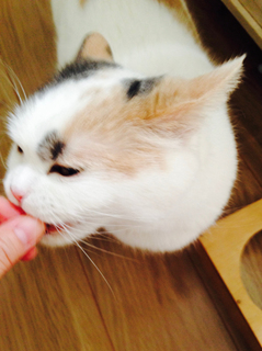 2019_0517_お誕生日おめでとう6.jpg