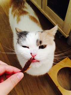 2019_0517_お誕生日おめでとう7.jpg