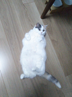 2019_0708_嬉しいプレゼント5.jpg