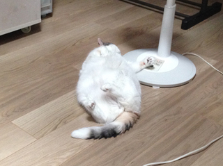 2020_0714_変わらぬ景色1.jpg