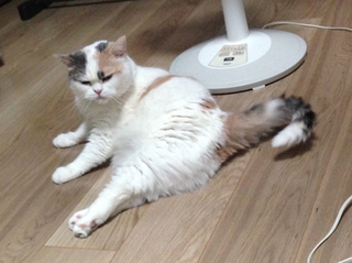 2020_0714_変わらぬ景色10.jpg