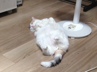 2020_0714_変わらぬ景色4.jpg